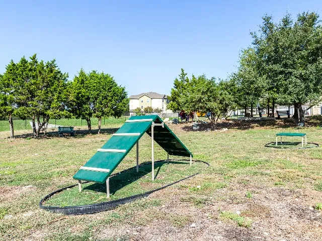 Dog playground image