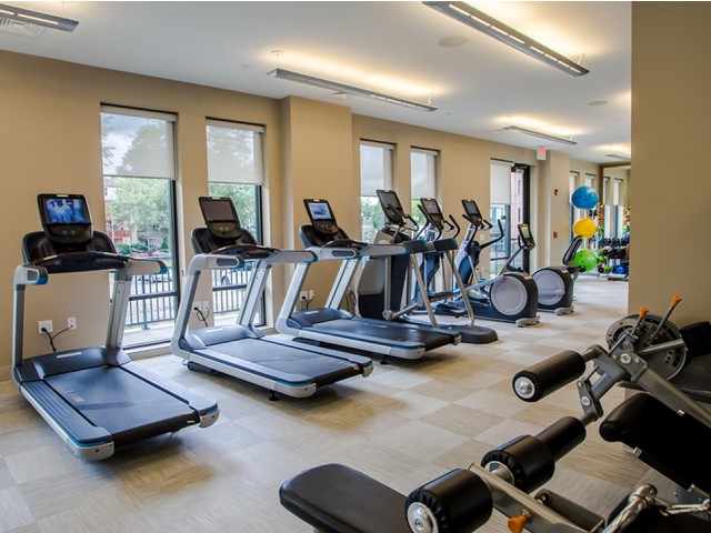 Image of Posh fitness studio for Modera 55