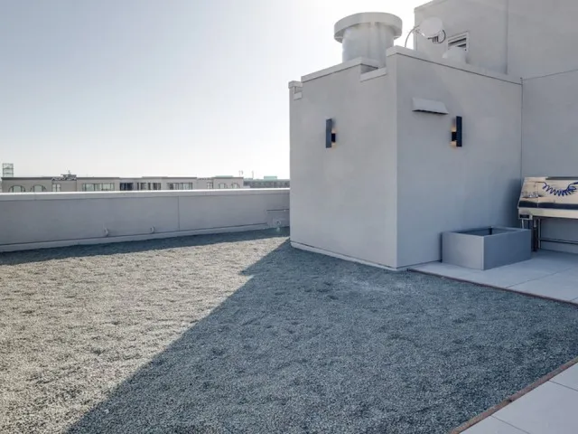 Rooftop dog run