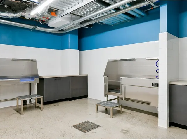 Pet washing station and spa