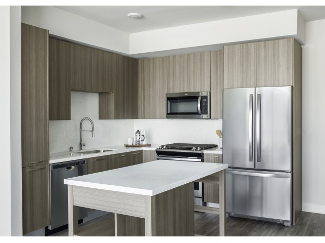 Sleek kitchens with stainless steel appliances