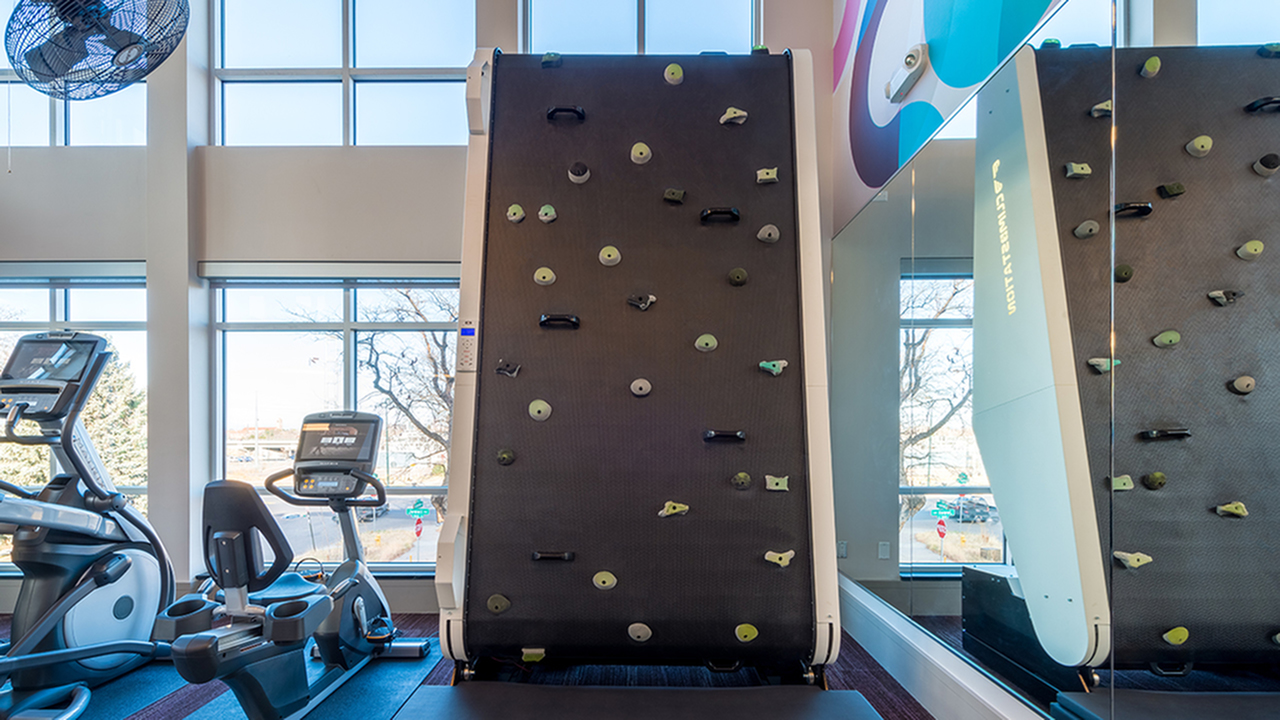 Rock Wall in Gym