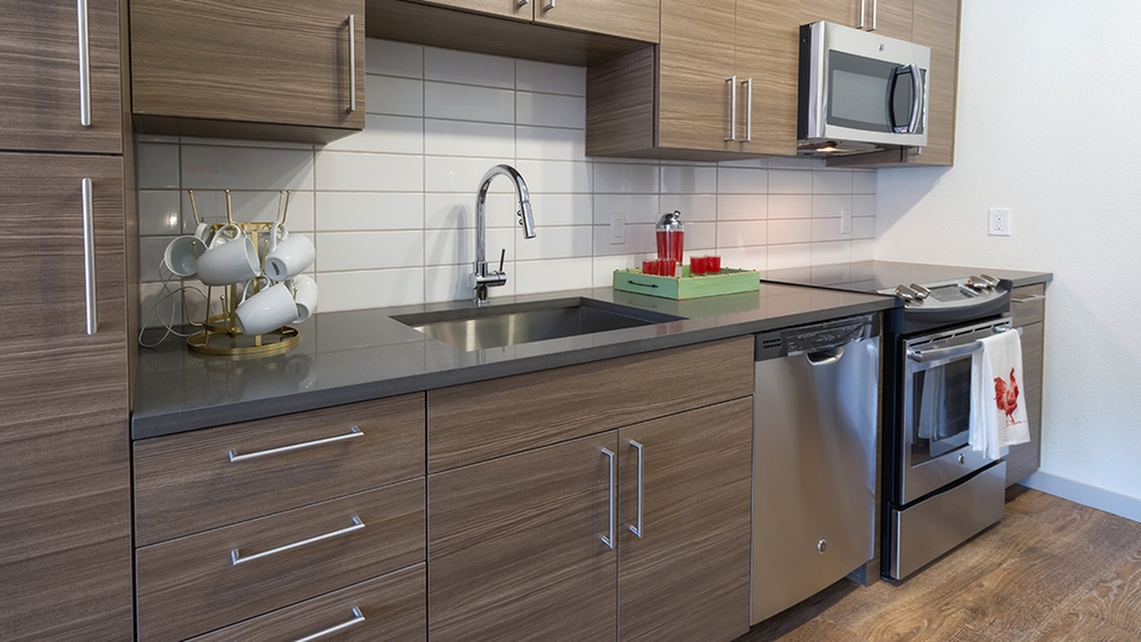 Contemporary Kitchens with Stainless Steel Appliances and Custom Cabinets
