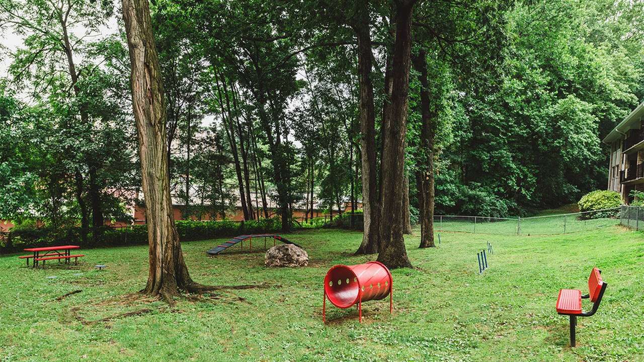 Outdoor dog park with red bench, table and agility equipment for dogs