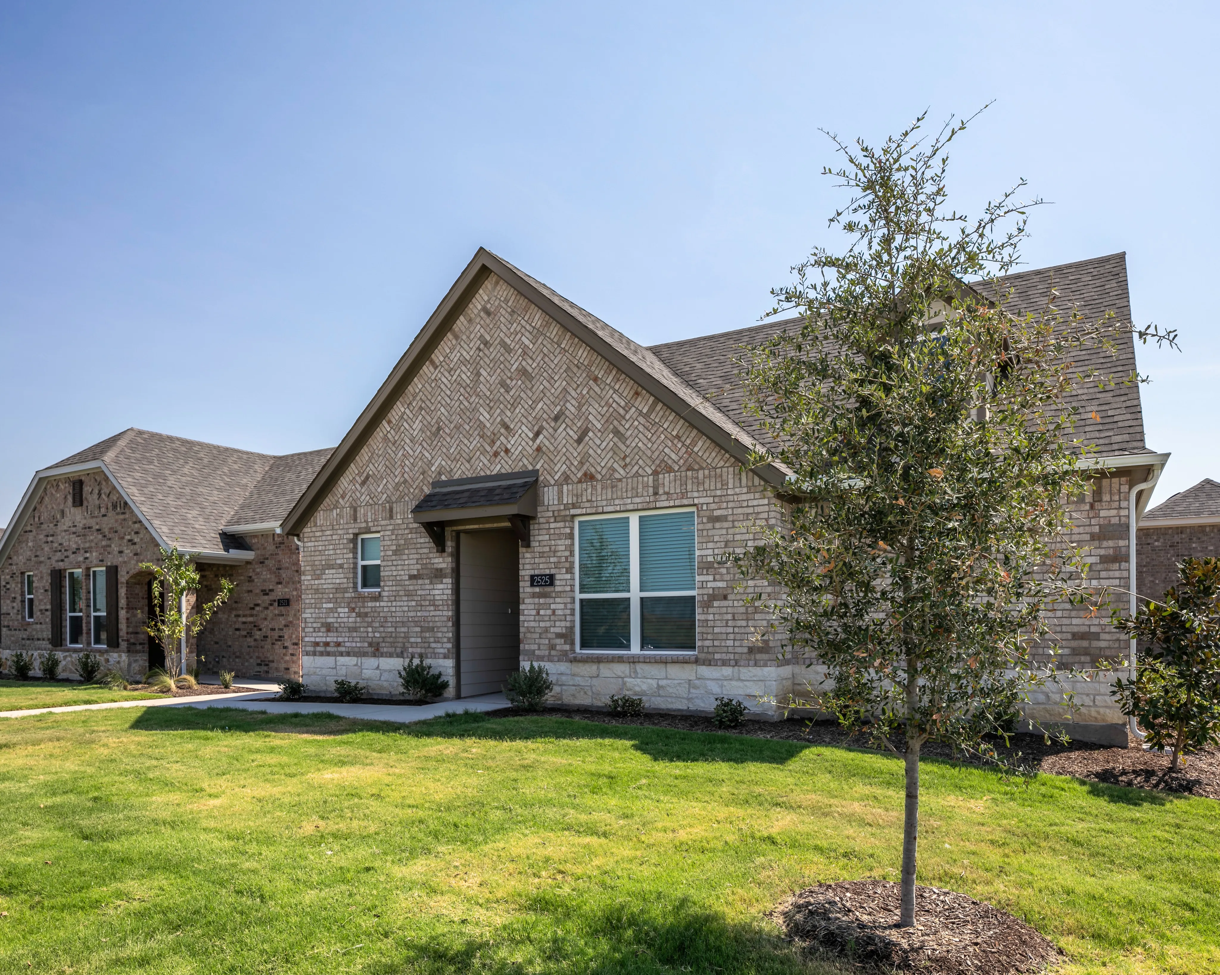 cottage layout homes amavi celina single family homes for rent in texas