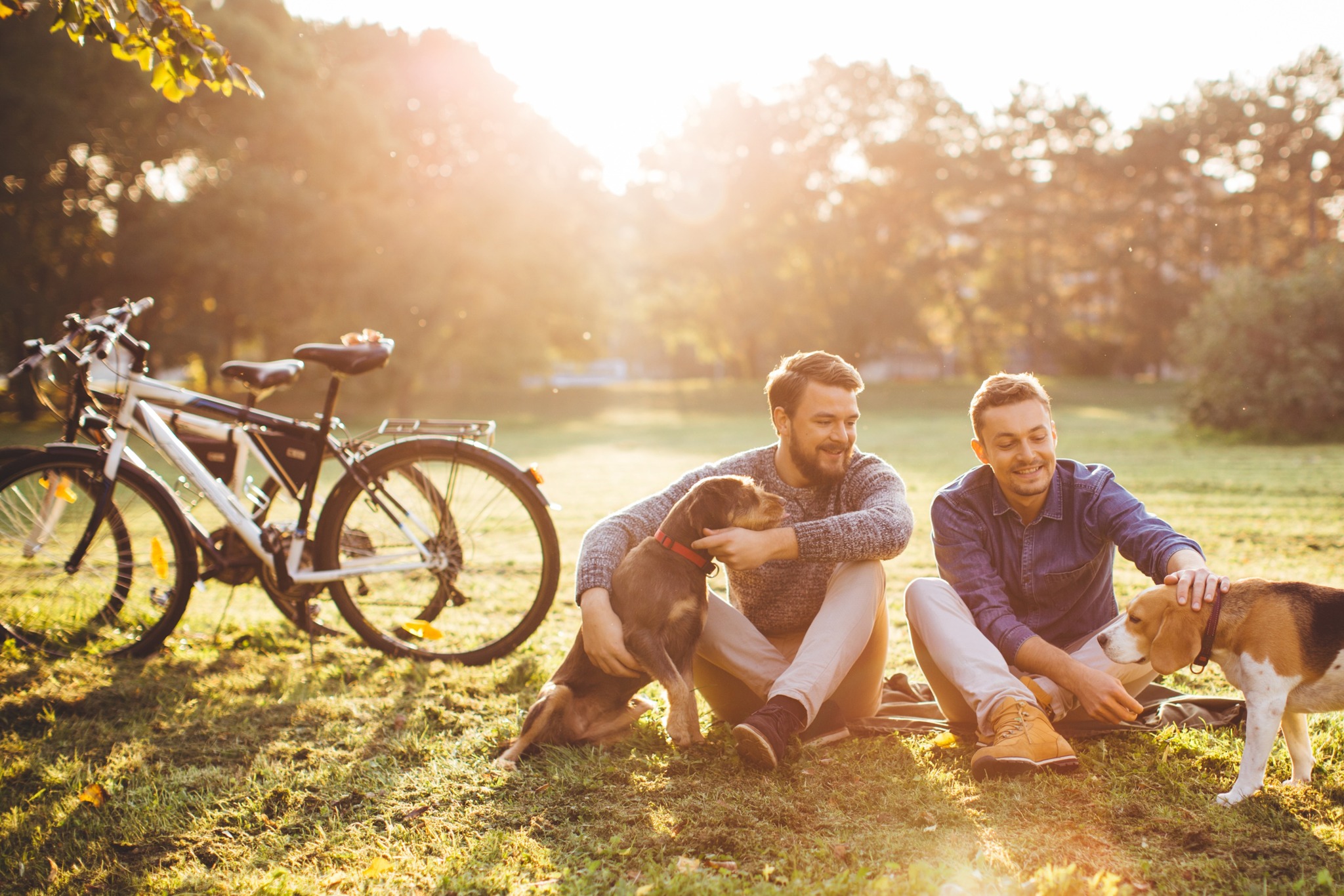 two men and their dogs on biking adventure in park modera trinity apartment homes for rent in dallas texas