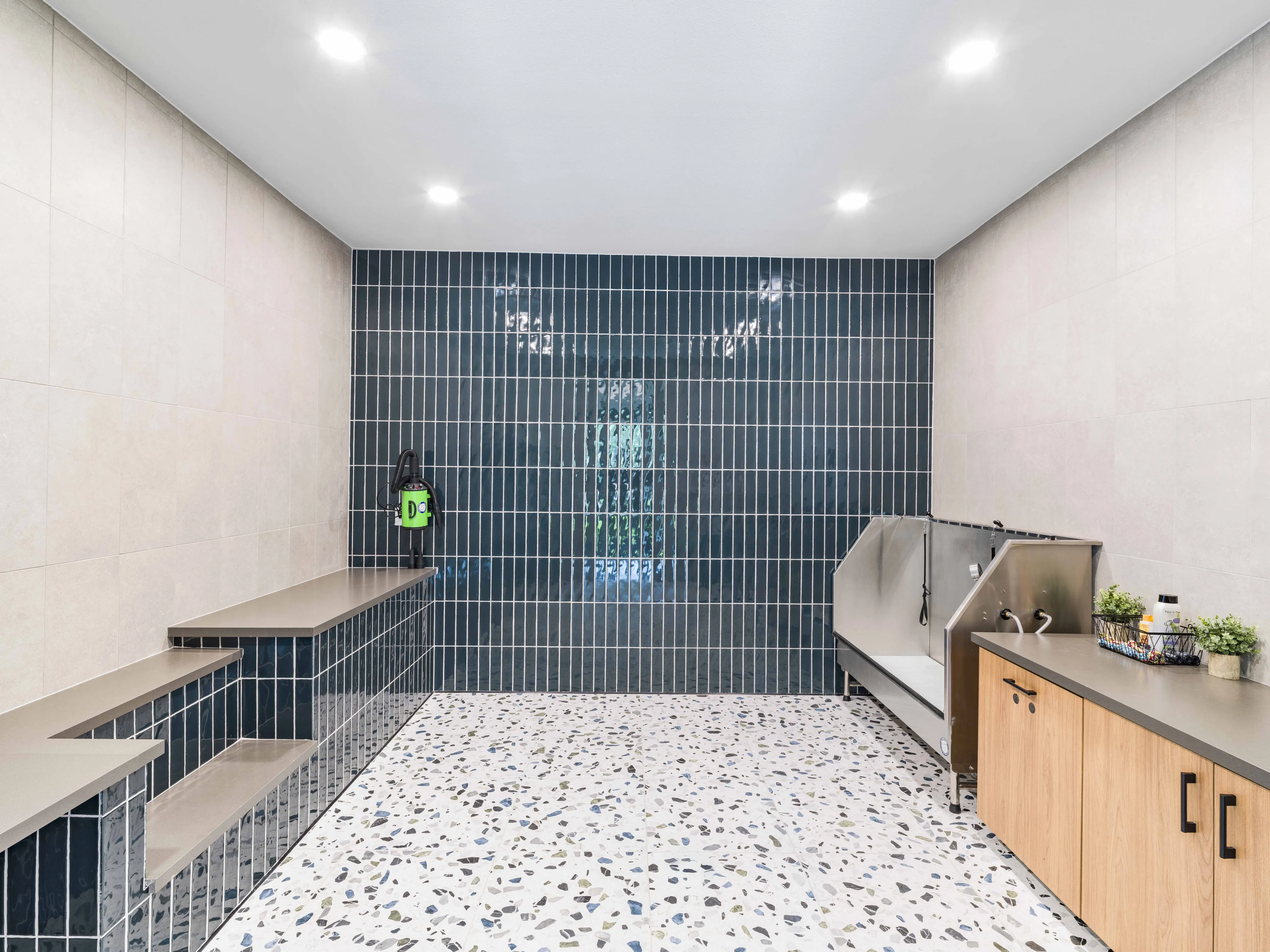 on-site pet spa with bathing, grooming, and drying station