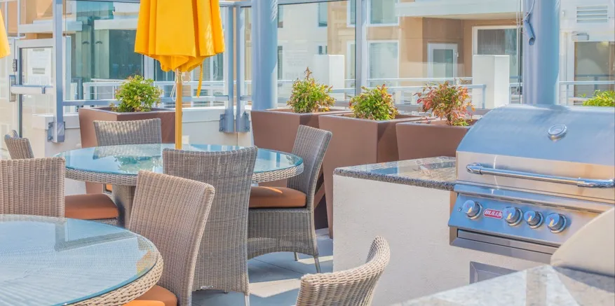 Outdoor dining and barbecue area