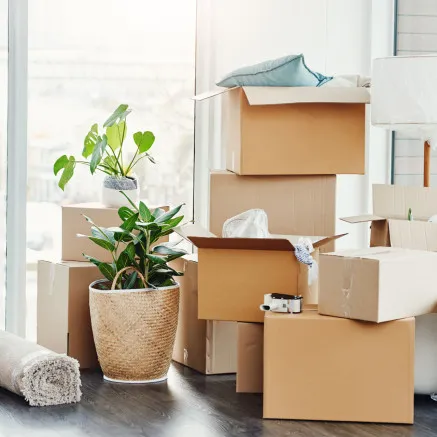 Image of moving boxes