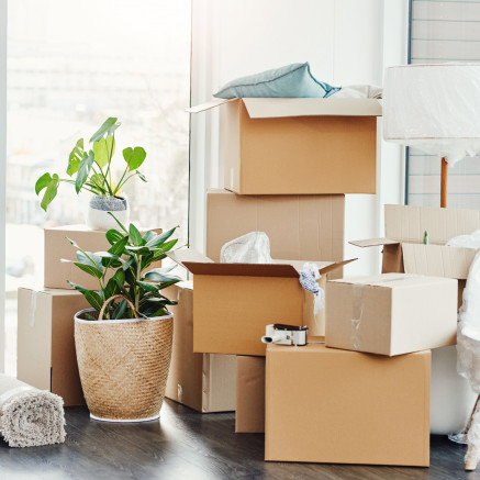 Image of moving boxes