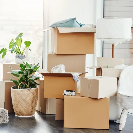Image of moving boxes