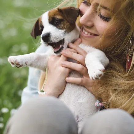 Image of dog playing outside