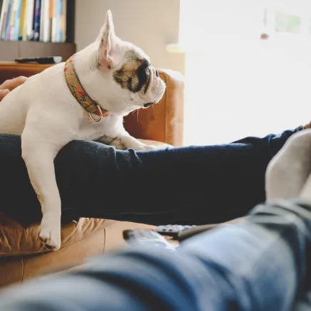 Image of family relaxing with dog