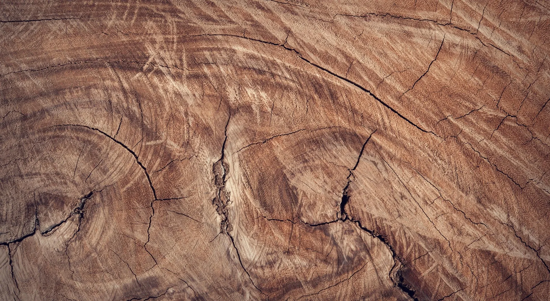 Wood texture