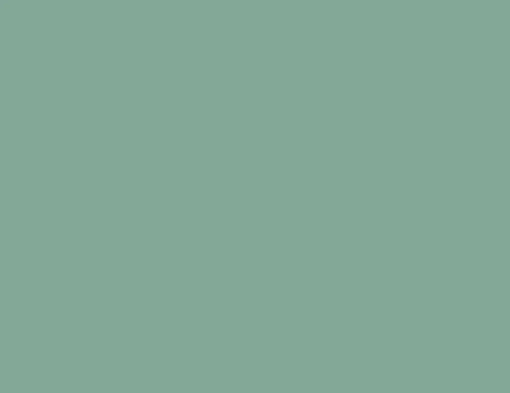 widget 4 background color  Amavi Sherrills Ford