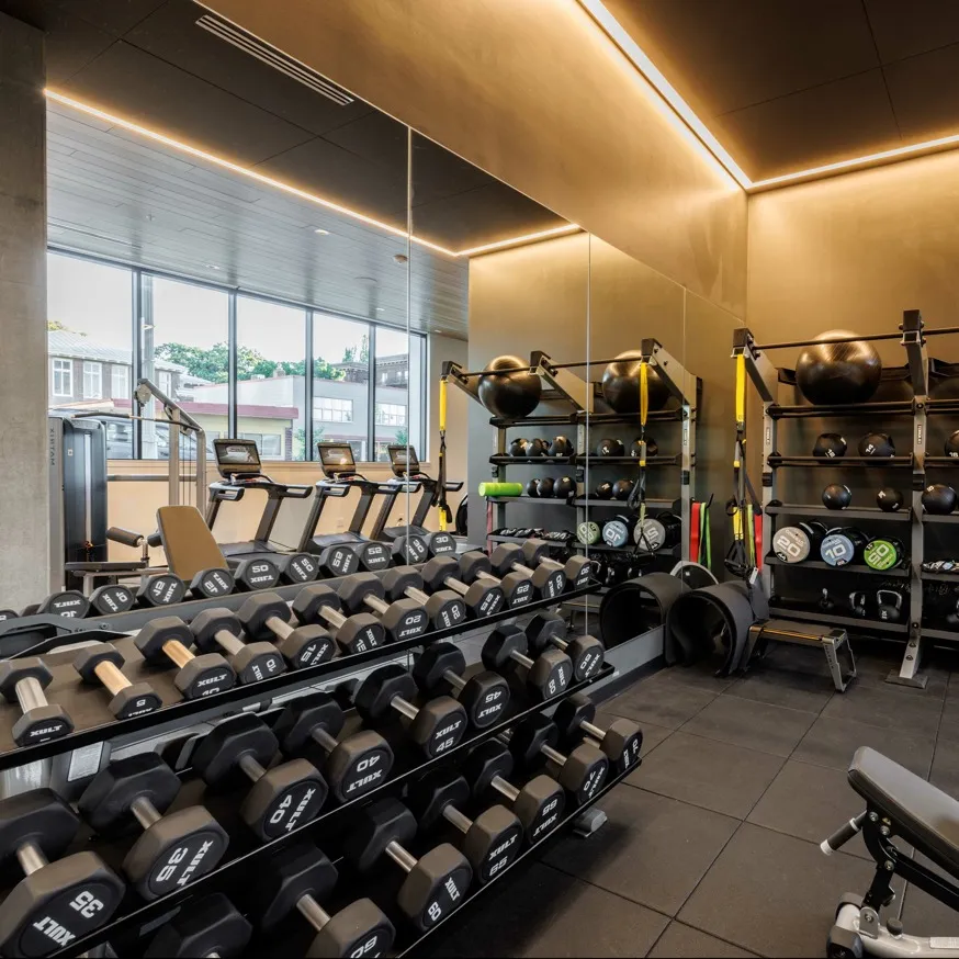 weight equipment at state of the art fitness center