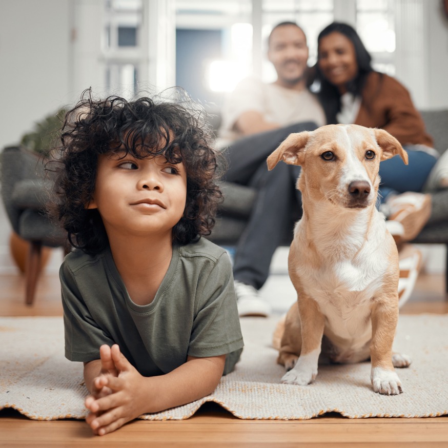 kid sitting on floor next to dog modera pomona apartment homes for rent in ca