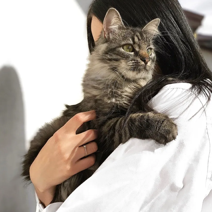 image of woman holding a gray and brown cat modera cherry creek apartments denver