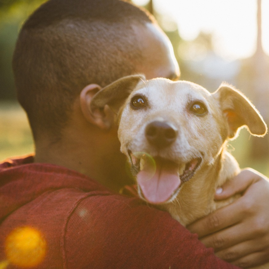 human holding happy dog alister sunset valley apartment homes for rent in austin tx