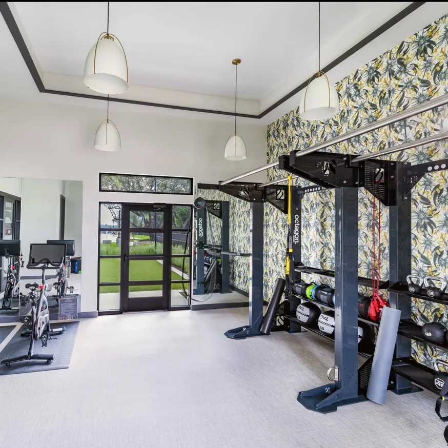 TRX workout equipment