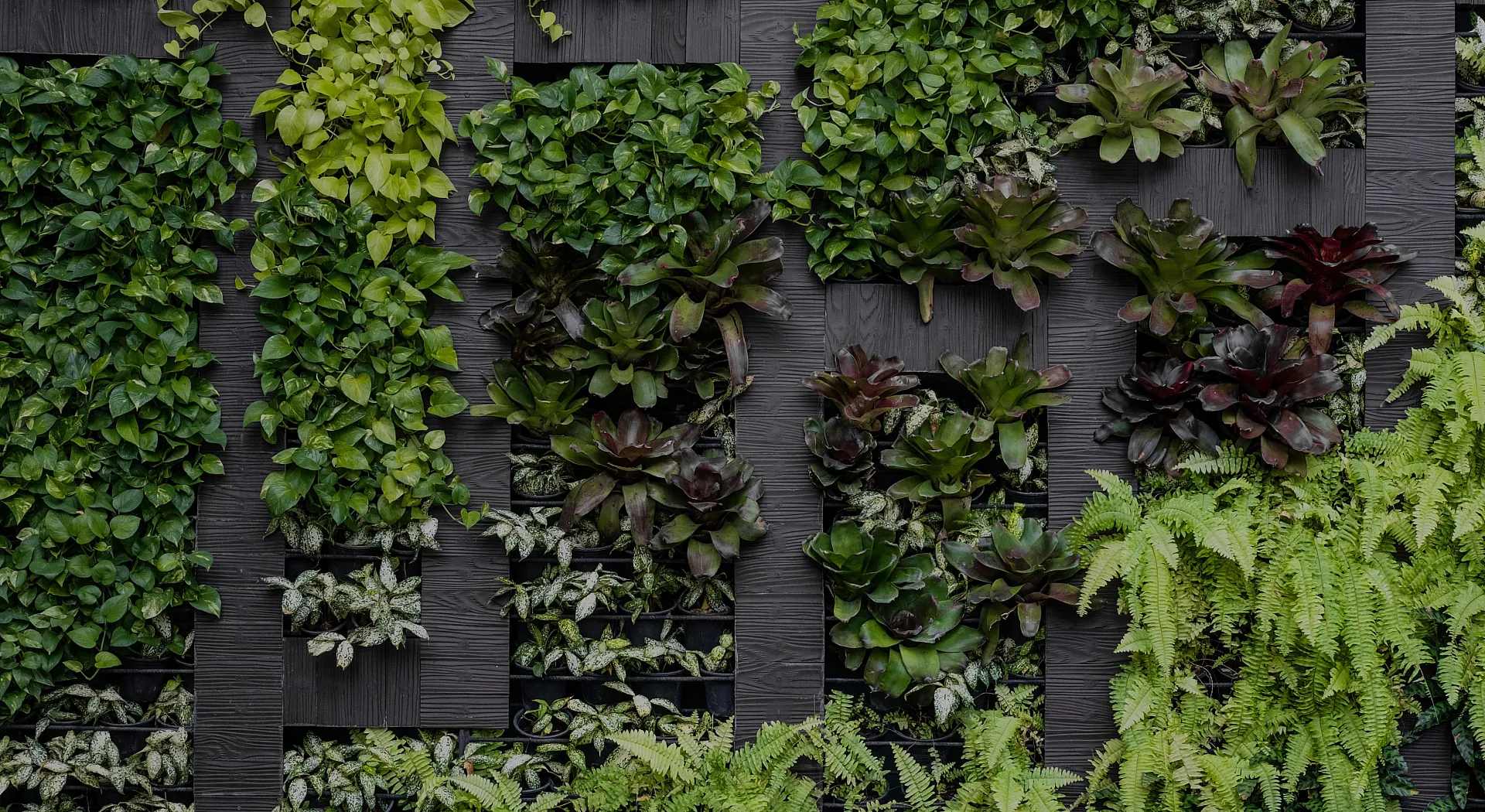 Lush vertical garden wall with diverse green plants and vibrant foliage, creating a refreshing and eco-friendly ambiance.