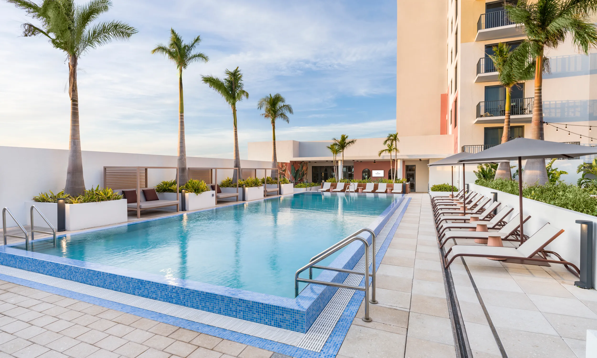 Luxurious rooftop pool with palm trees, modern lounge chairs, and spacious sunbathing area modera st. petersburg apartment homes st. petersburg florida.