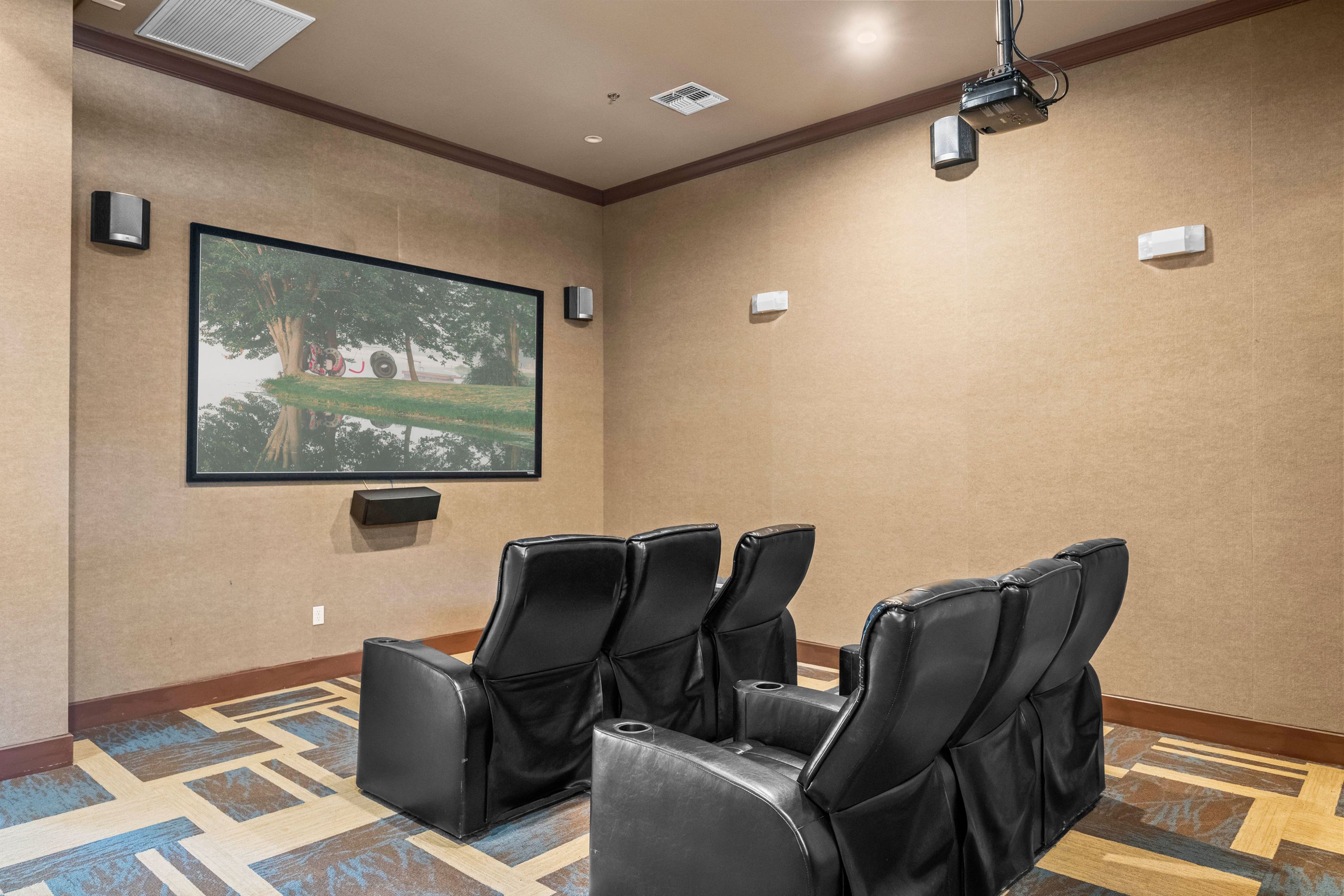 movie room