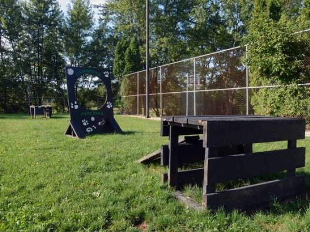 Bark park with dog exercise equipment