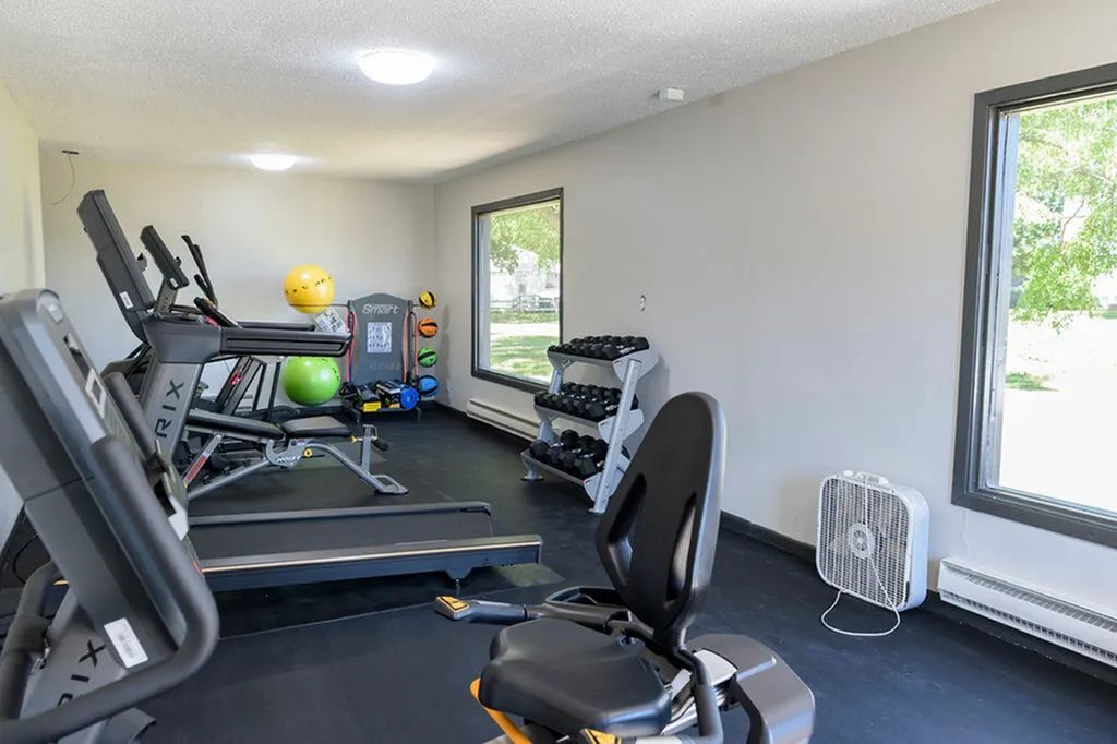 Bright and modern apartment gym with treadmills, exercise bikes, and a range of fitness equipment, offering a perfect workout space with natural light.