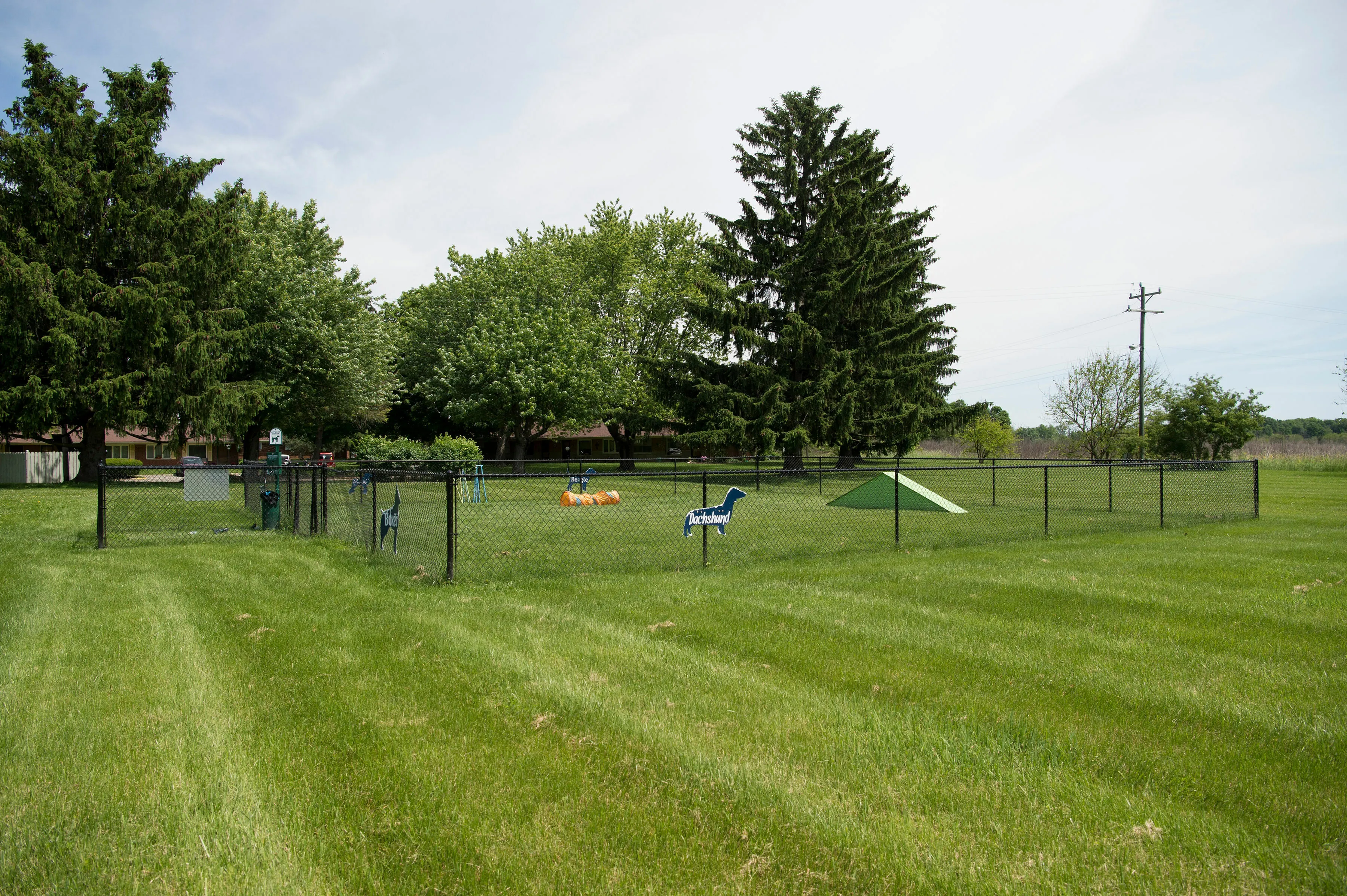 Spacious fenced-in dog park surrounded by lush greenery and mature trees, perfect for pet-friendly living.
