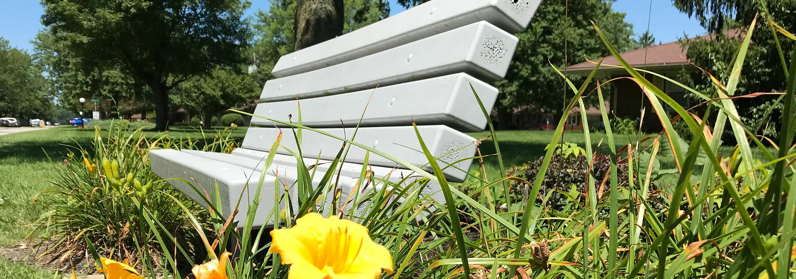 Sunlit park scene featuring vibrant yellow flowers and a sleek modern bench, surrounded by lush greenery.