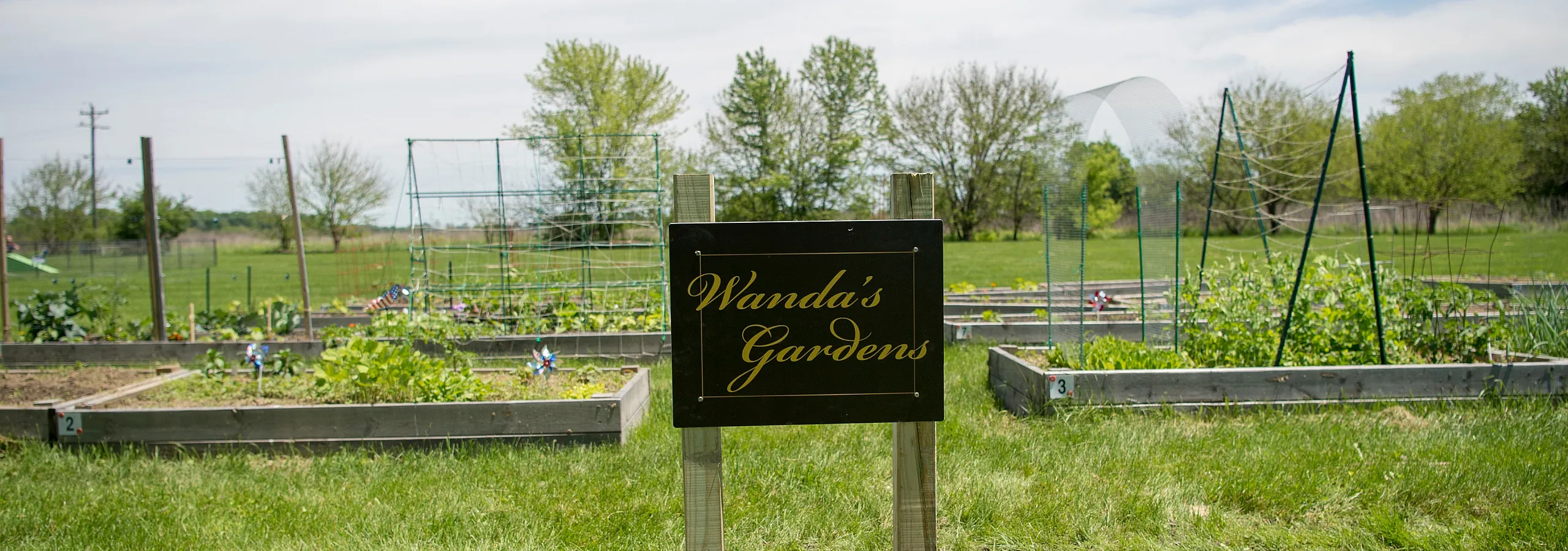 Charming community garden with neatly arranged raised beds and a welcoming sign reading 'Wanda's Gardens' under a sunny blue sky.