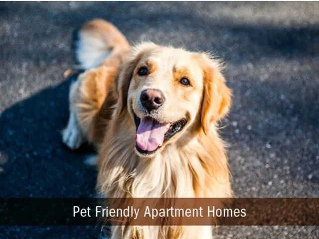 Image of Pet Friendly for The Hite and Notch Apartments