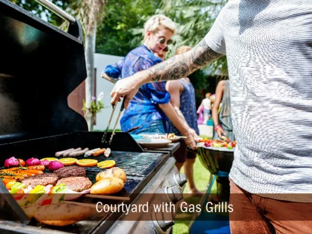 Image of Outdoor Grilling Station for The Hite and Notch Apartments