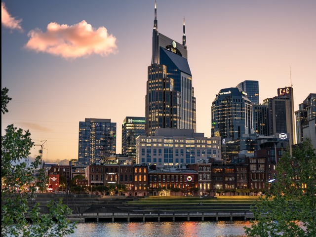 The Gulch