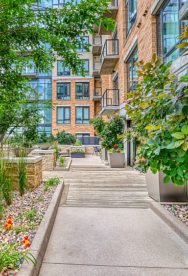 Charming apartment courtyard with lush greenery, modern planters, and stylish walkways creating a serene urban oasis.