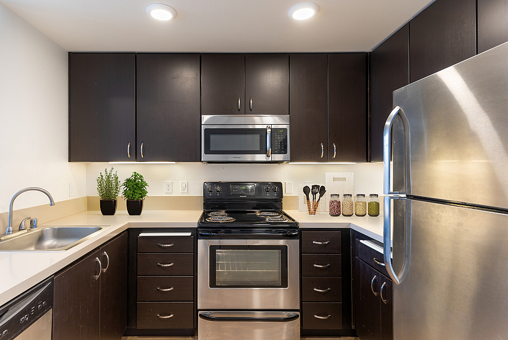 Modern kitchen with sleek dark wood cabinets, stainless steel appliances, and elegant countertop accents for a chic, functional space.