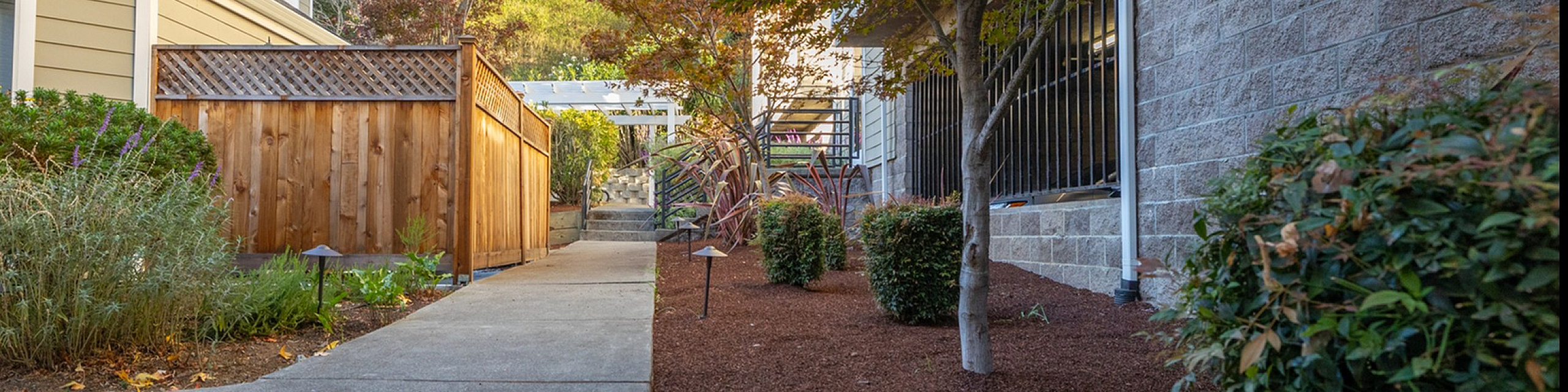 Charming landscaped pathway beside modern residential building featuring lush green trees and elegant outdoor lighting.