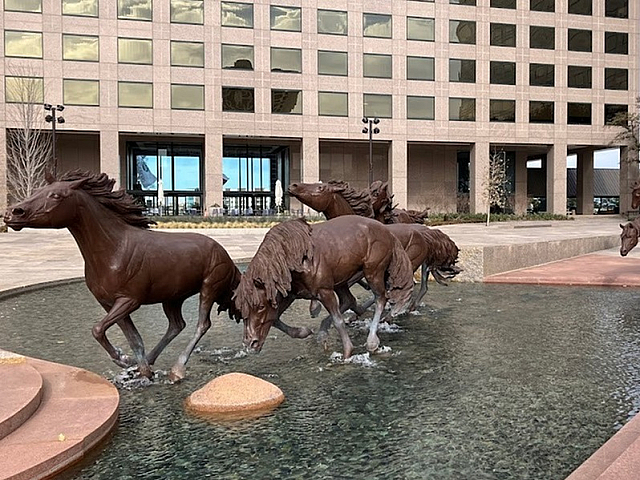 Mustangs of Las Colinas