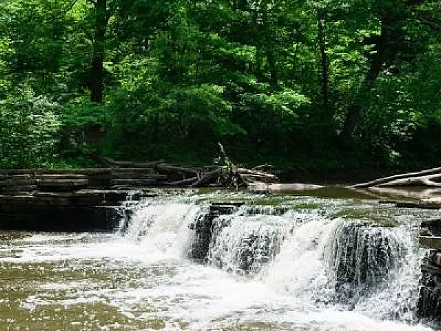 Waterfall Glen Forest Preserve