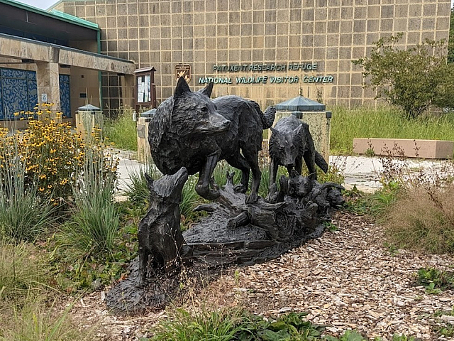 Patuxent Research Refuge Statue