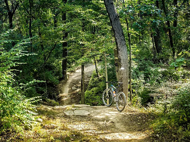 Palos Forest Preserve Trail