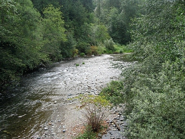 Cedar River Trail