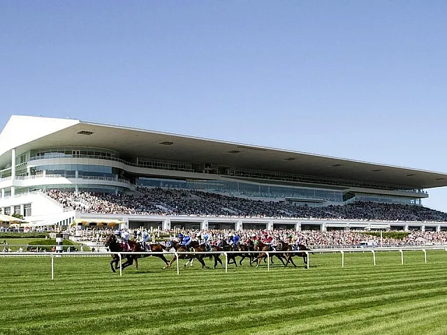 Arlington Park Horses Racing