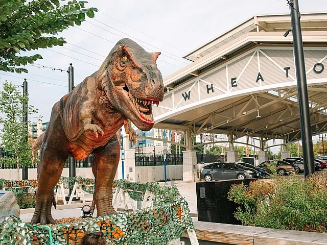 Downtown Wheaton Dinosaur Statue