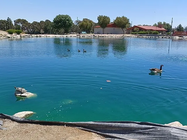 Craig Ranch Regional Park Lake