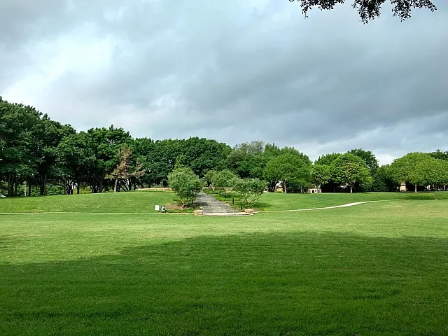 Celestial Park View