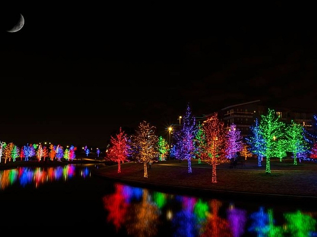Vitruvian Park View