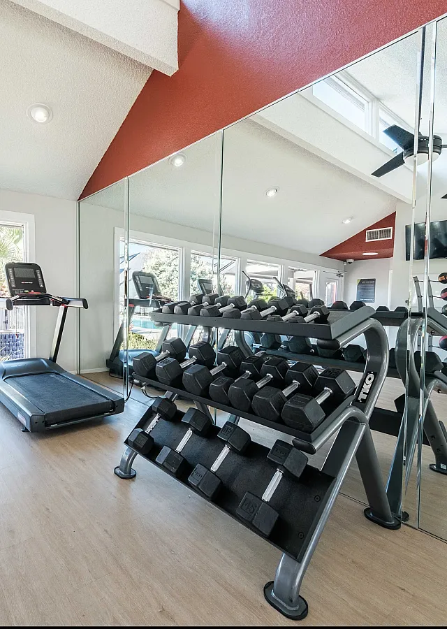 Fitness