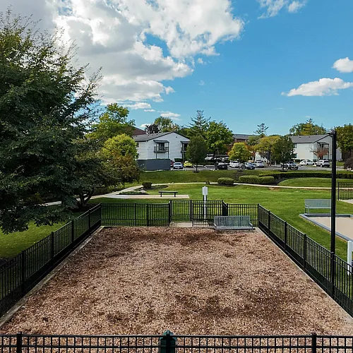 The Clayson dog park
